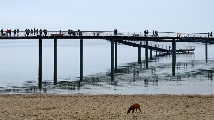 Die neue Seebrücke